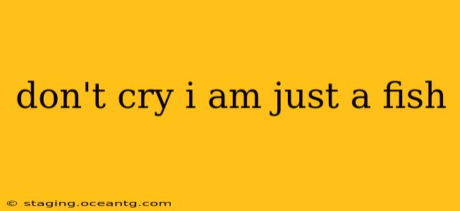 don't cry i am just a fish