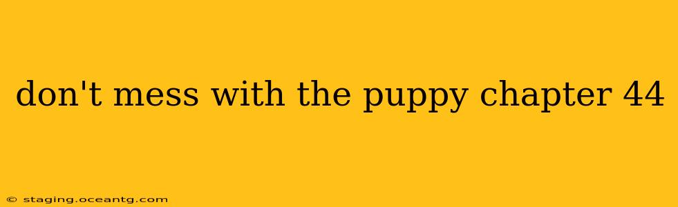 don't mess with the puppy chapter 44