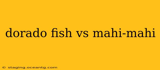 dorado fish vs mahi-mahi