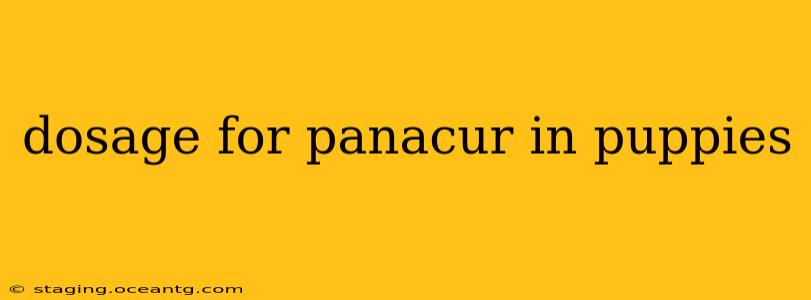 dosage for panacur in puppies