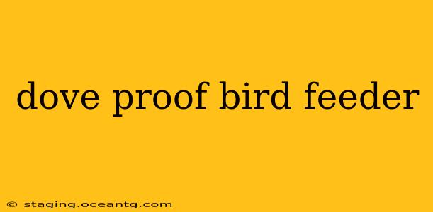 dove proof bird feeder