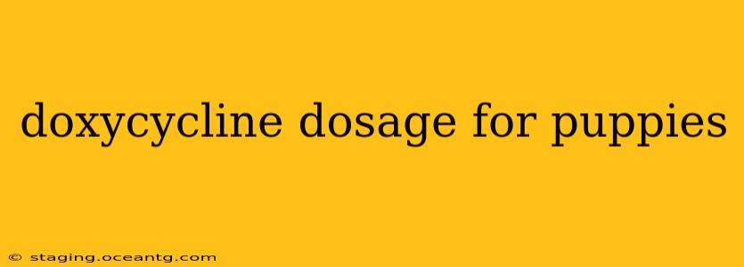 doxycycline dosage for puppies