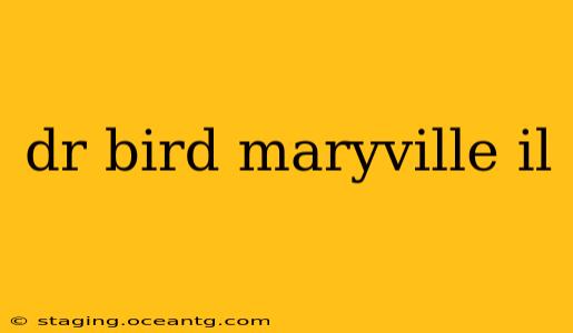 dr bird maryville il