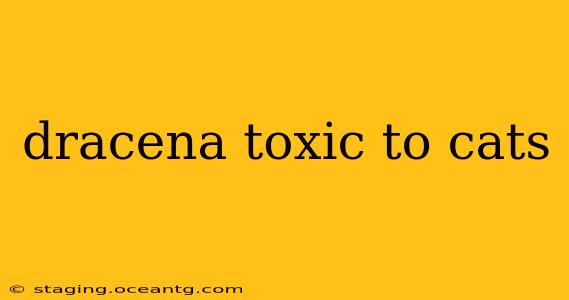 dracena toxic to cats