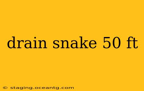 drain snake 50 ft