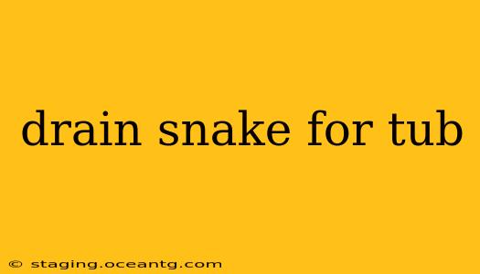 drain snake for tub