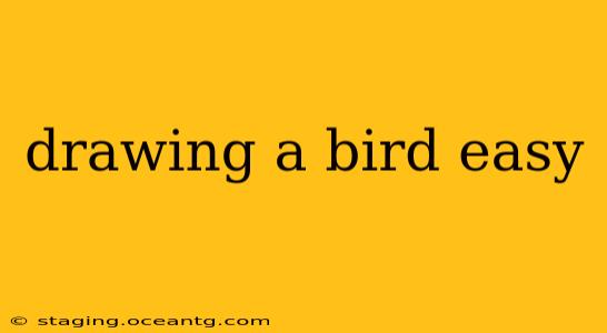 drawing a bird easy