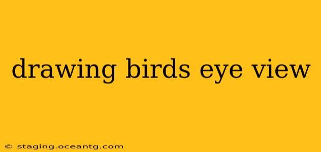 drawing birds eye view