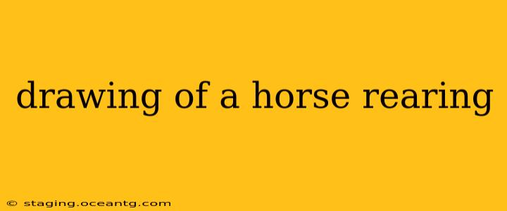 drawing of a horse rearing