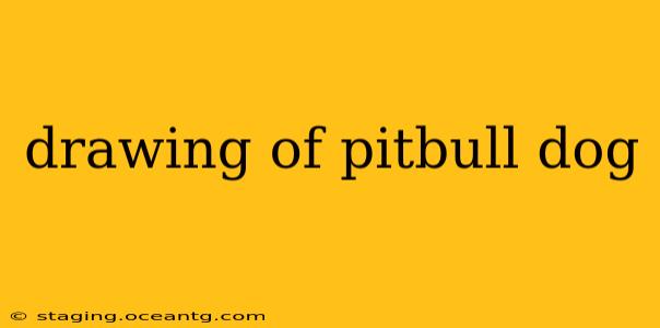 drawing of pitbull dog