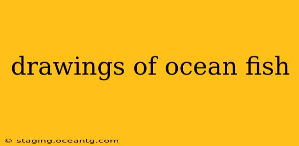 drawings of ocean fish