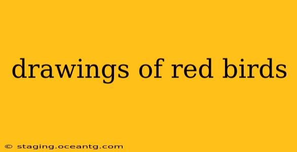 drawings of red birds