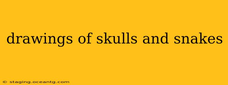 drawings of skulls and snakes