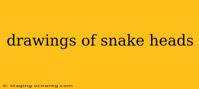 drawings of snake heads