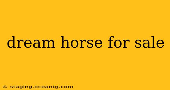 dream horse for sale