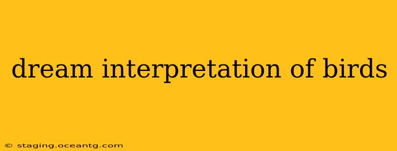 dream interpretation of birds