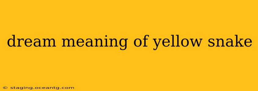 dream meaning of yellow snake