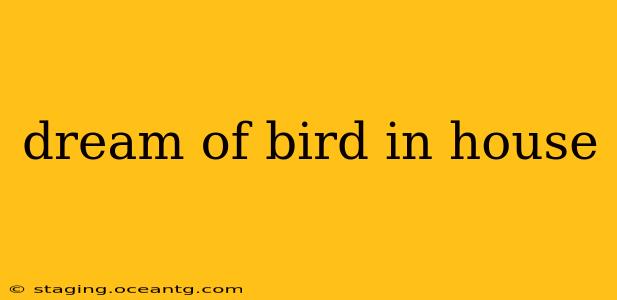 dream of bird in house