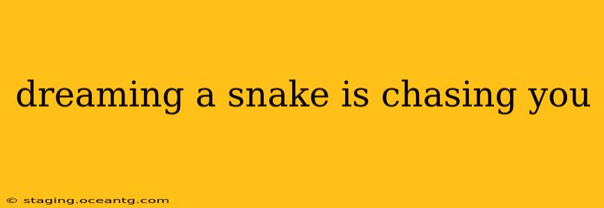 dreaming a snake is chasing you