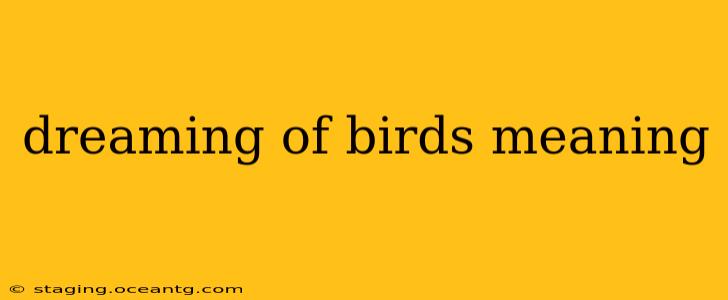 dreaming of birds meaning