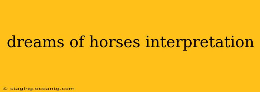 dreams of horses interpretation