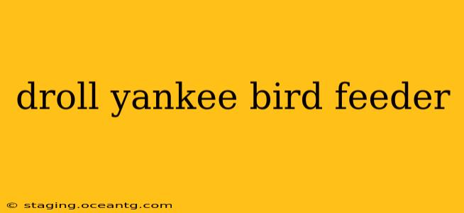 droll yankee bird feeder