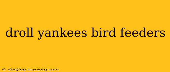 droll yankees bird feeders