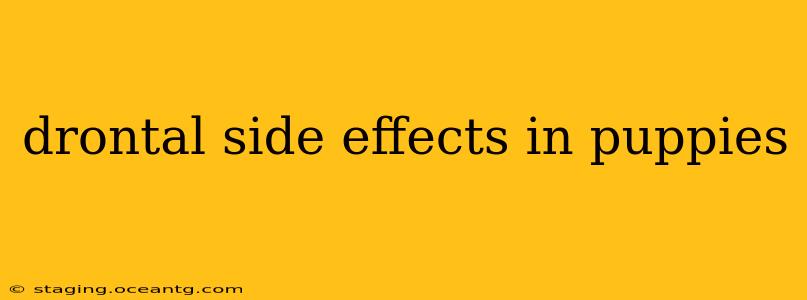 drontal side effects in puppies