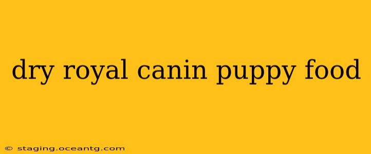 dry royal canin puppy food