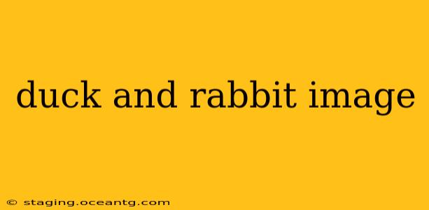 duck and rabbit image