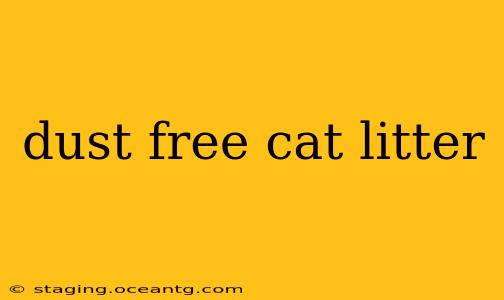 dust free cat litter