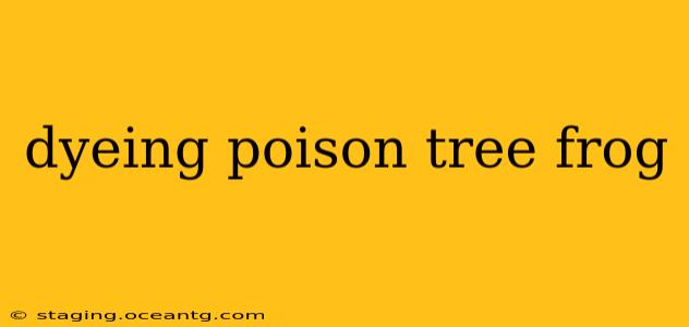dyeing poison tree frog