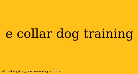 e collar dog training