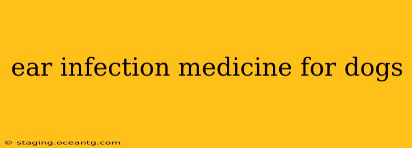 ear infection medicine for dogs