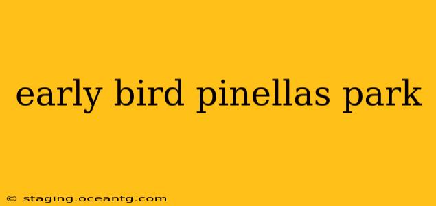 early bird pinellas park