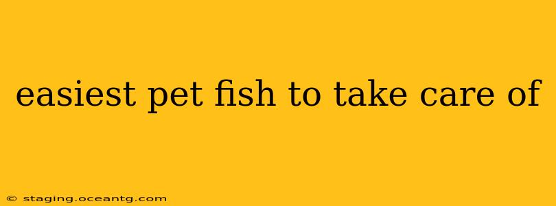 easiest pet fish to take care of