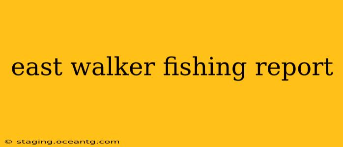 east walker fishing report