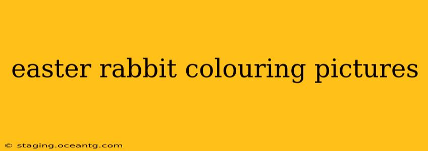easter rabbit colouring pictures