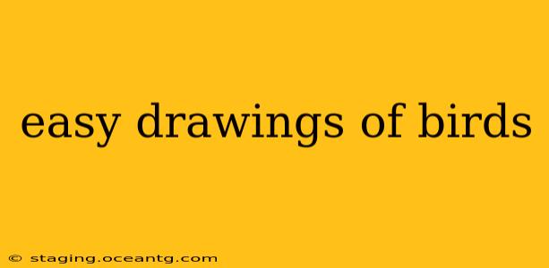 easy drawings of birds