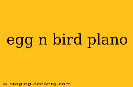 egg n bird plano