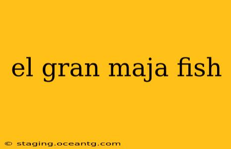 el gran maja fish