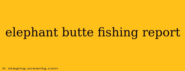 elephant butte fishing report