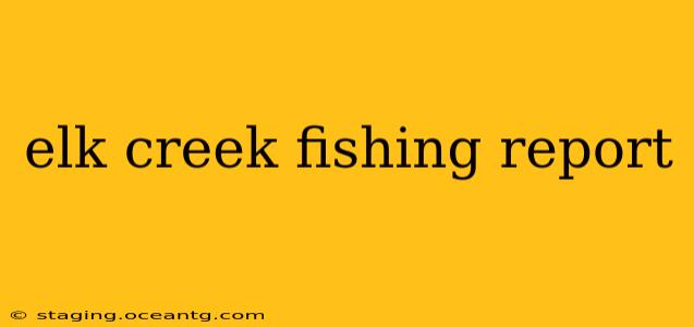 elk creek fishing report