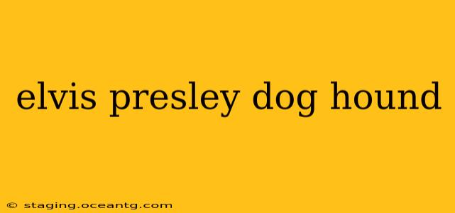 elvis presley dog hound