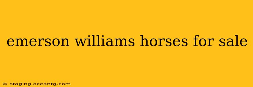 emerson williams horses for sale