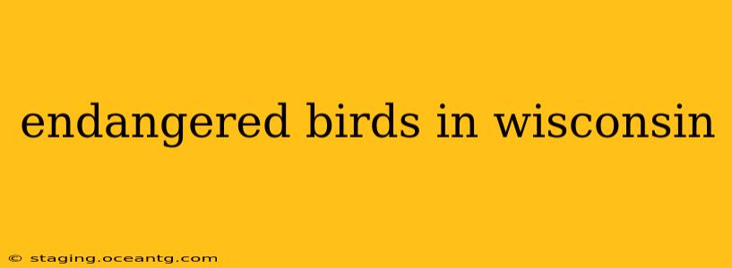 endangered birds in wisconsin