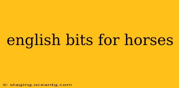 english bits for horses