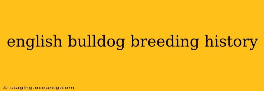 english bulldog breeding history