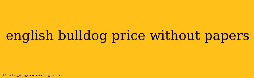english bulldog price without papers