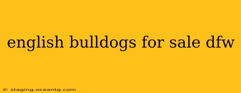 english bulldogs for sale dfw